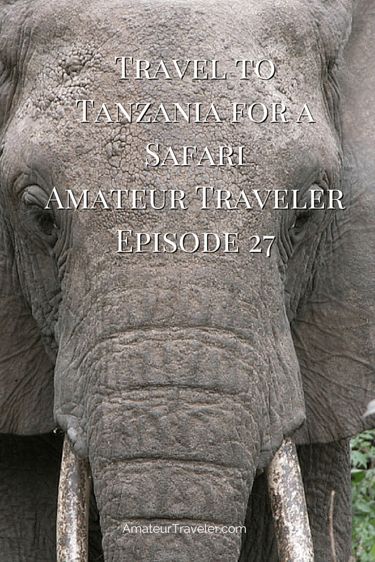 Travel to Tanzania for a Safari – Amateur Traveler Episode 27