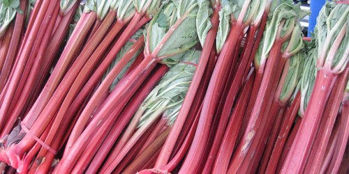 Hop When Someone Says “Rhubarb” Day – August 17