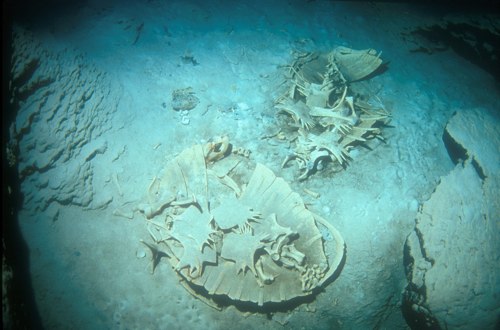 turtle tomb (cave at sipadan island)