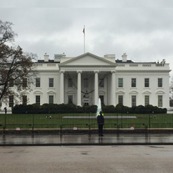 The Obama White House Wants You To Study Abroad