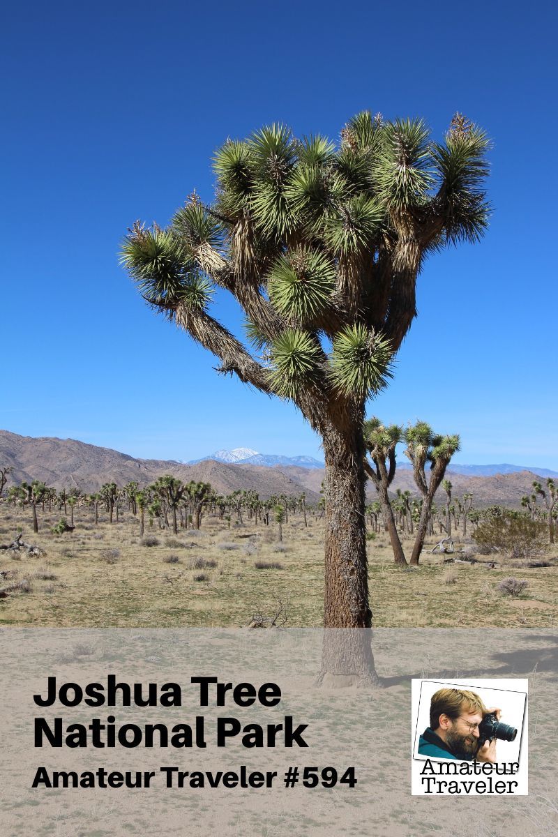 Travel to Joshua Tree National Park - A One Week Itinerary in the California Desert