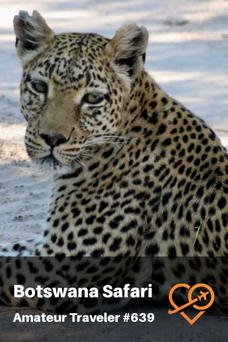 Botswana Safari - Mobile Safari and Luxury Safari Camp (Podcast)