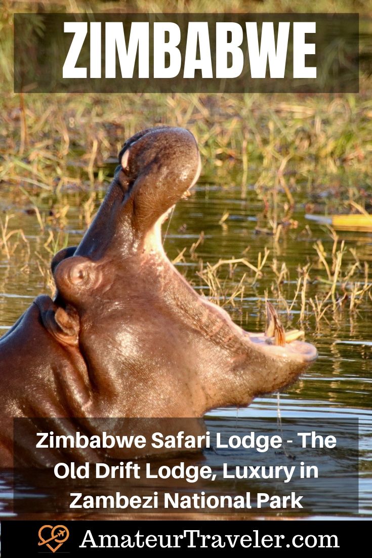 Zimbabwe Safari Lodge - The Old Drift Lodge, Luxury in Zambezi National Park | Africa Safari Lodge #travel #trip #vacation #africa #safari #lodge #zimbabwe #victoria-falls #wildlife #interior #bedroom #elephant #hippo #food #zambezi