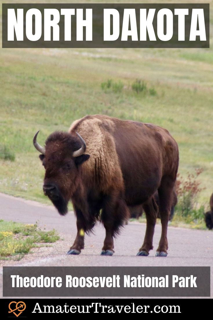 Road Trip to North Dakota - Theodore Roosevelt National Park, Medora Musical and the Enchanted Highway #travel #trip #vacation #usa #north-dakota #badlands #bison #enchanted-highway #medora #medora-musical #theodore-roosevelt #national-park