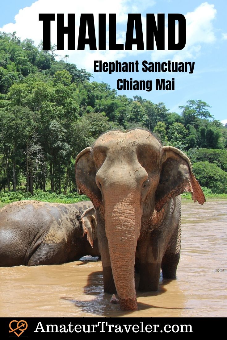 Elephant Sanctuary - Chiang Mai, Thailand #travel #trip #vacation #volunteer #volunteering #chiang-mai #thailand #elephant #elephants #thingstodoin