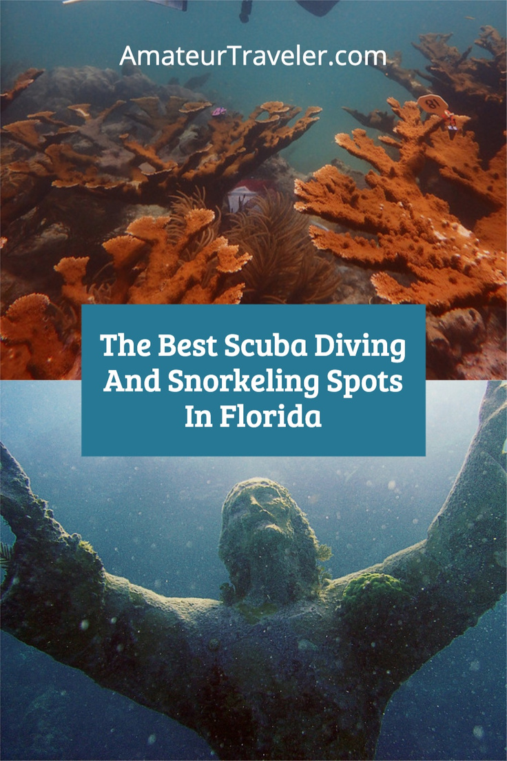 The Best Scuba Diving And Snorkeling Spots In Florida #florida #travel #trip #vacation #scuba #snorkel #beach