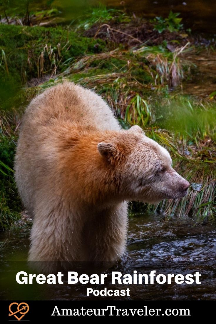Travel to the Great Bear Rainforest, British Columbia (Podcast) #travel #british-columbia #canada #wildlife #boat #cruise