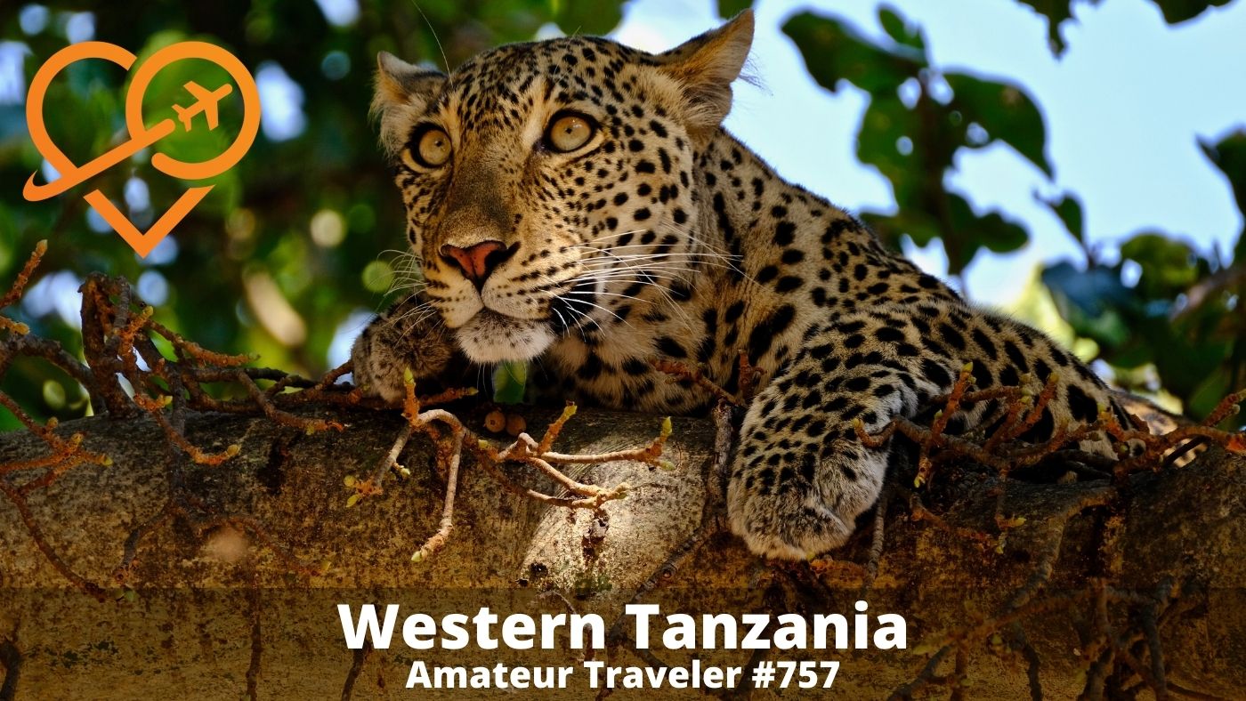 Voyage à l'ouest de la Tanzanie |  Safari en Tanzanie |  Parc national de Katavi (Podcast) |  Parc national des monts Mahale