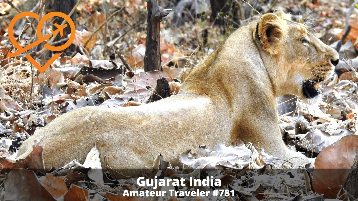 Travel to Gujarat, India (Podcast)