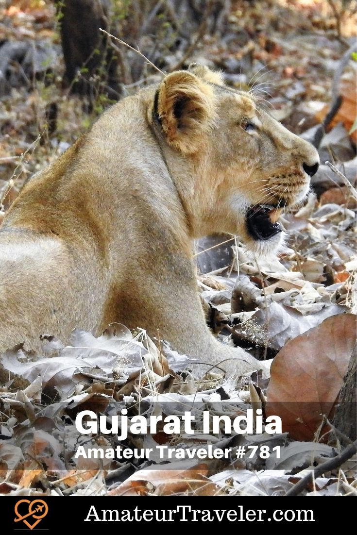 Travel to Gujarat, India (Podcast) | Things to do in Gujarat #travel #trip #vacation #india #gujarat #things-to-do-in #places #temples #mosque