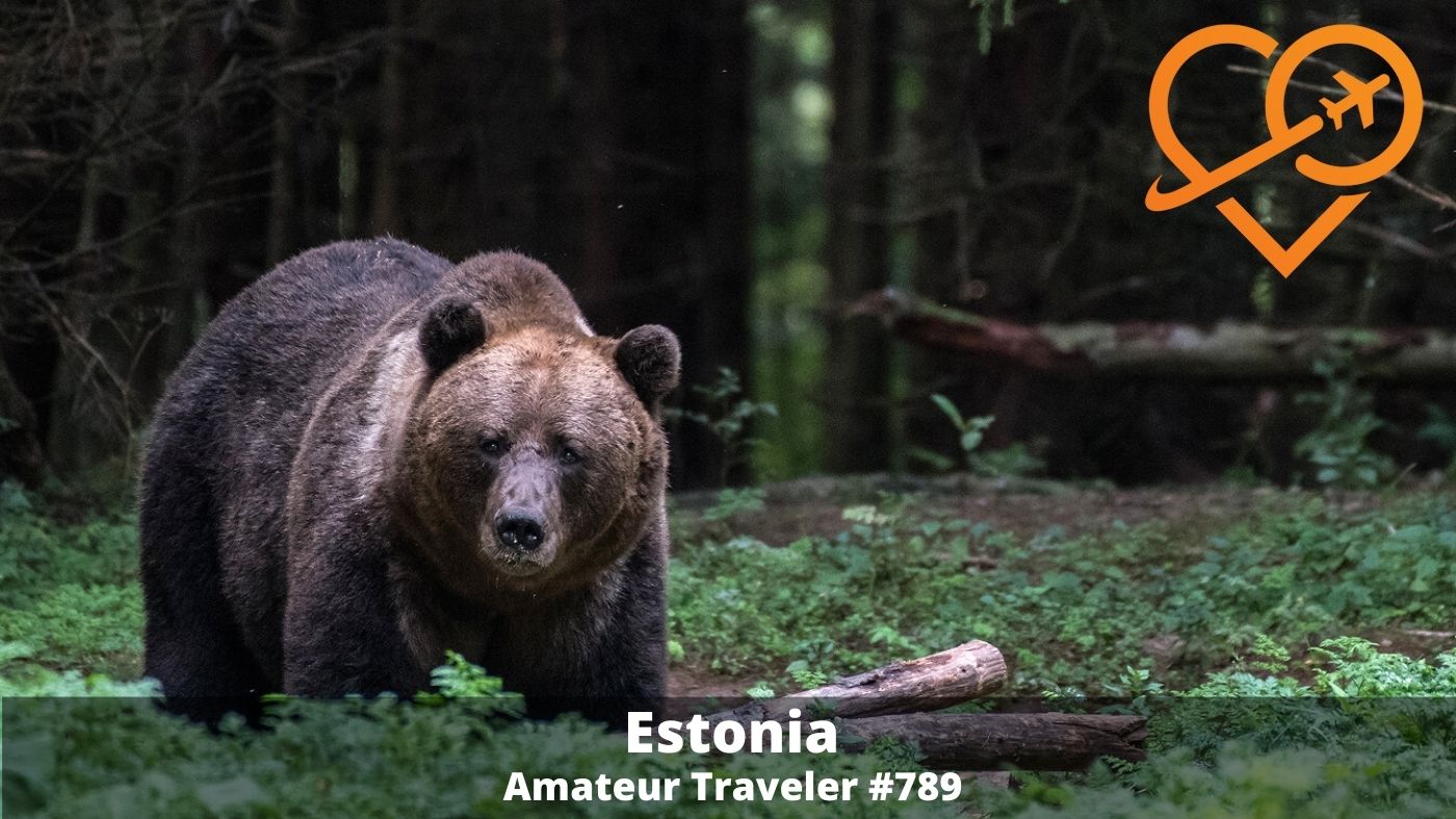 Beautiful Places in Estonia (Podcast) - Beaches, Castles and Brown Bears