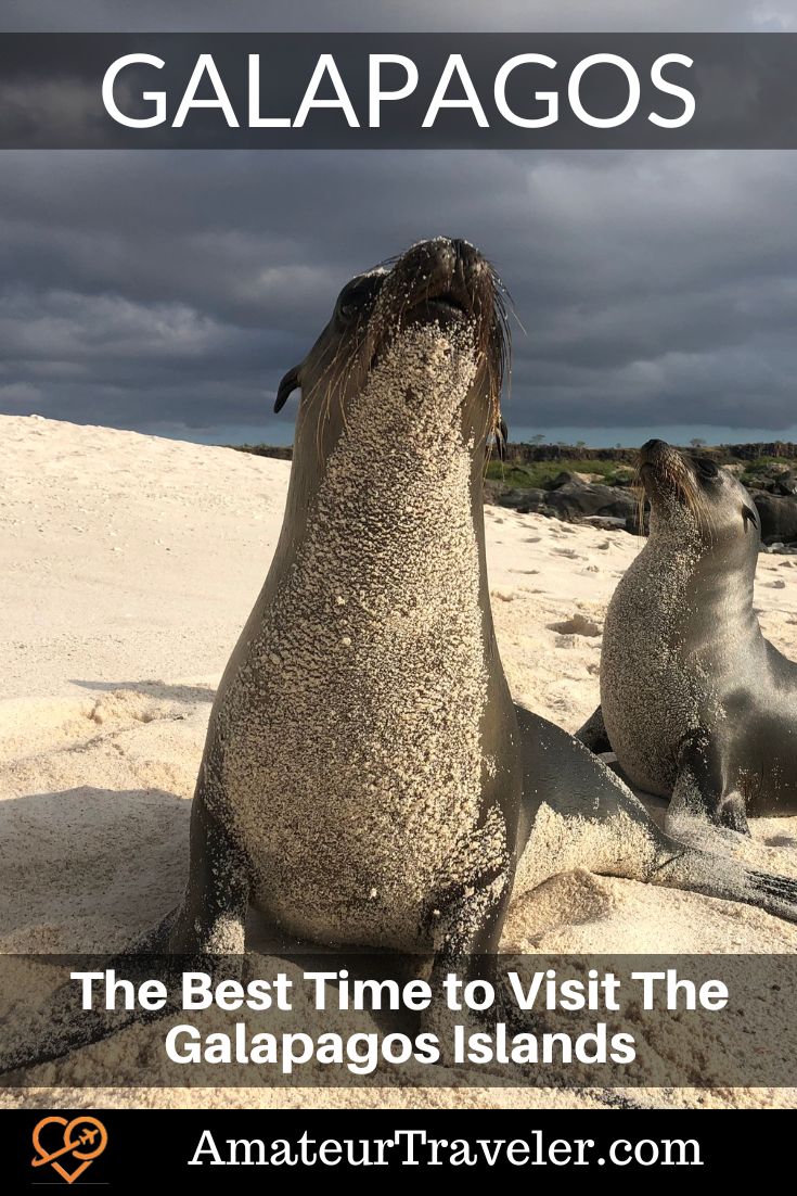 The Best Time to Visit The Galapagos Islands #galapagos #things-to-do-in #travel #vacation #trip #holiday