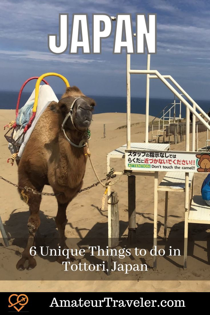 6 Unique Things to do in Tottori, Japan #japan #tottori #shrine #sanddune #camel #travel #vacation #trip #holiday