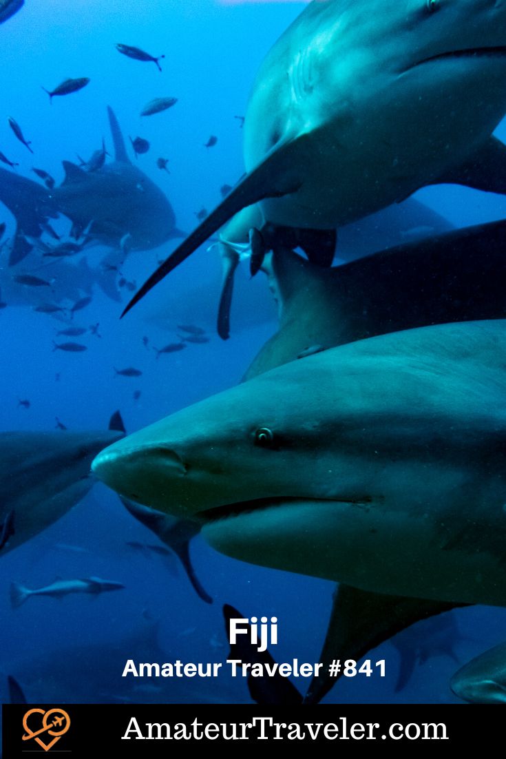 Fiji Travel Guide - Viti Levu and Tavuni (Podcast) #fiji #ocean #island #beach #swimming #shark #travel #vacation #travel #vacation