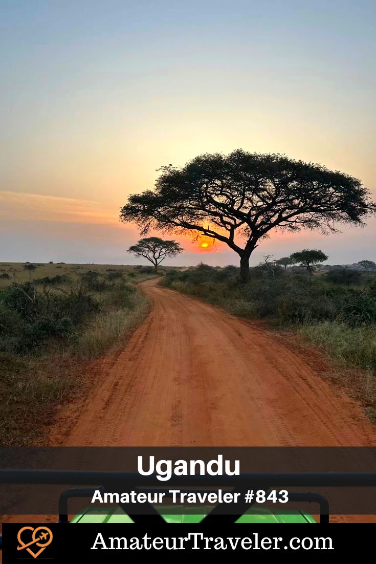 Uganda Safari (Podcast) | Things to do in Uganda #uganda #safari #gorila #chimpanze #travel #vacation #trip #holiday
