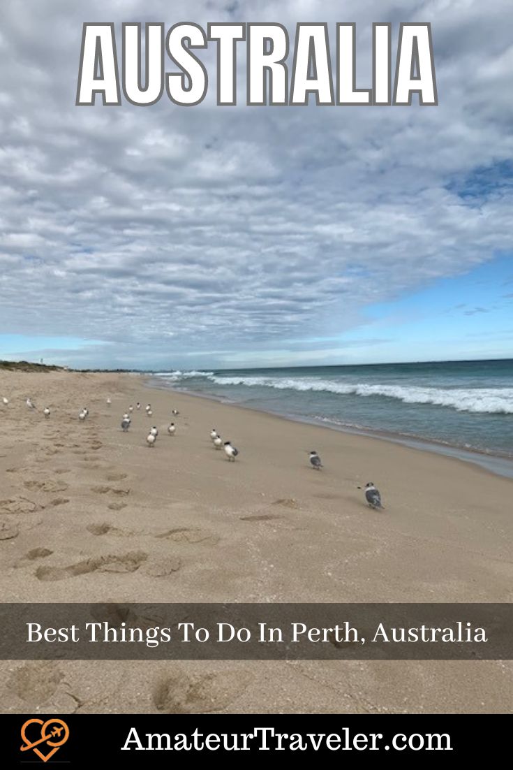 Best Things To Do In Perth, Australia #travel #vacation #trip #holiday #perth #australia #things-to-do #surfing #restaurants