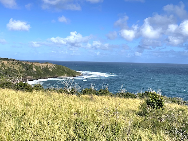 Coastal vegetation and a remote Atlantic beach as viewed from the St. Kitts Railway