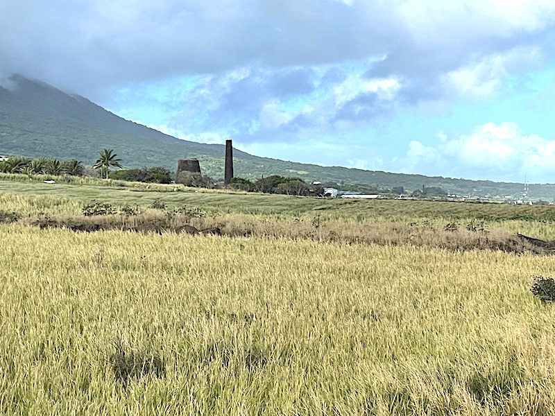 Abandoned sugar cane fields leading up to the slopes of the volcanic cone of Mt. Liamuigainto