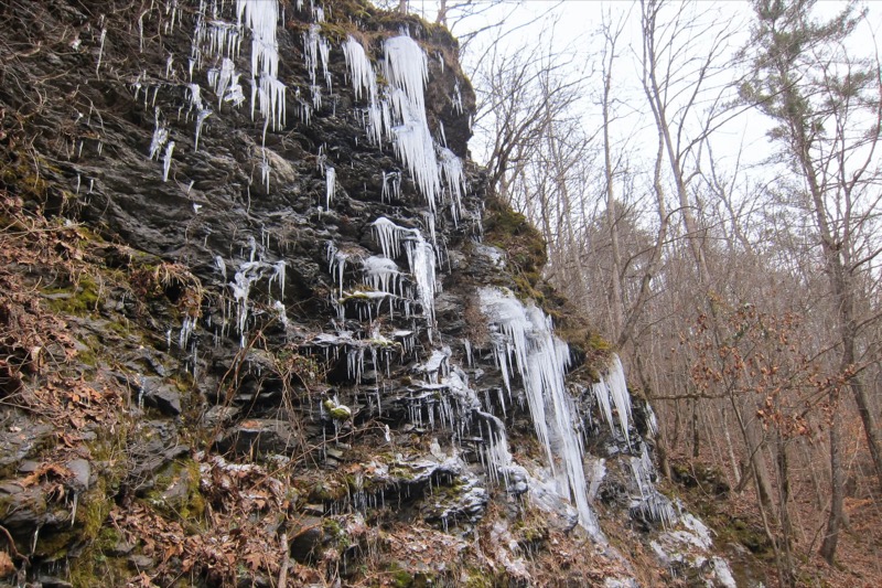 Even if the big waterfalls don’t get completely iced over, you can always find plenty of water drips everywhere in the Smokies that turn into awesome icicles if it gets cold enough.