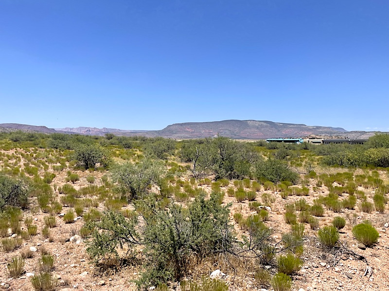 The Verde Canyon Railroad as it passes through desert scrub vegetation
