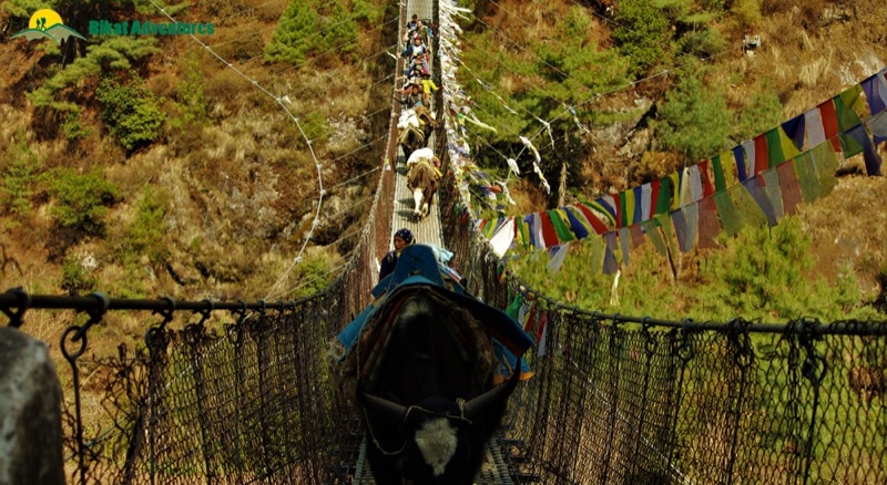 Suspension bridge along the Everest Base Camp trek