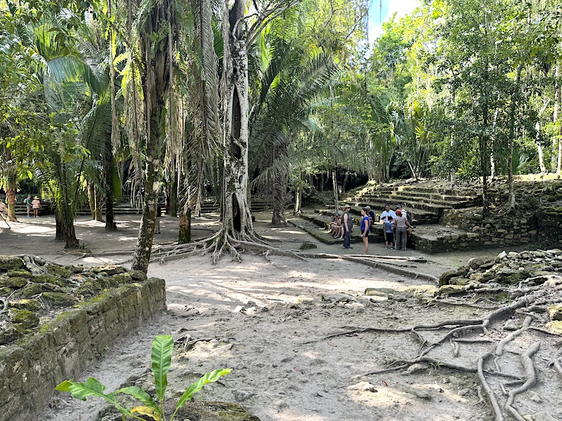 Mayan ruins in the residential area of Chacchoben
