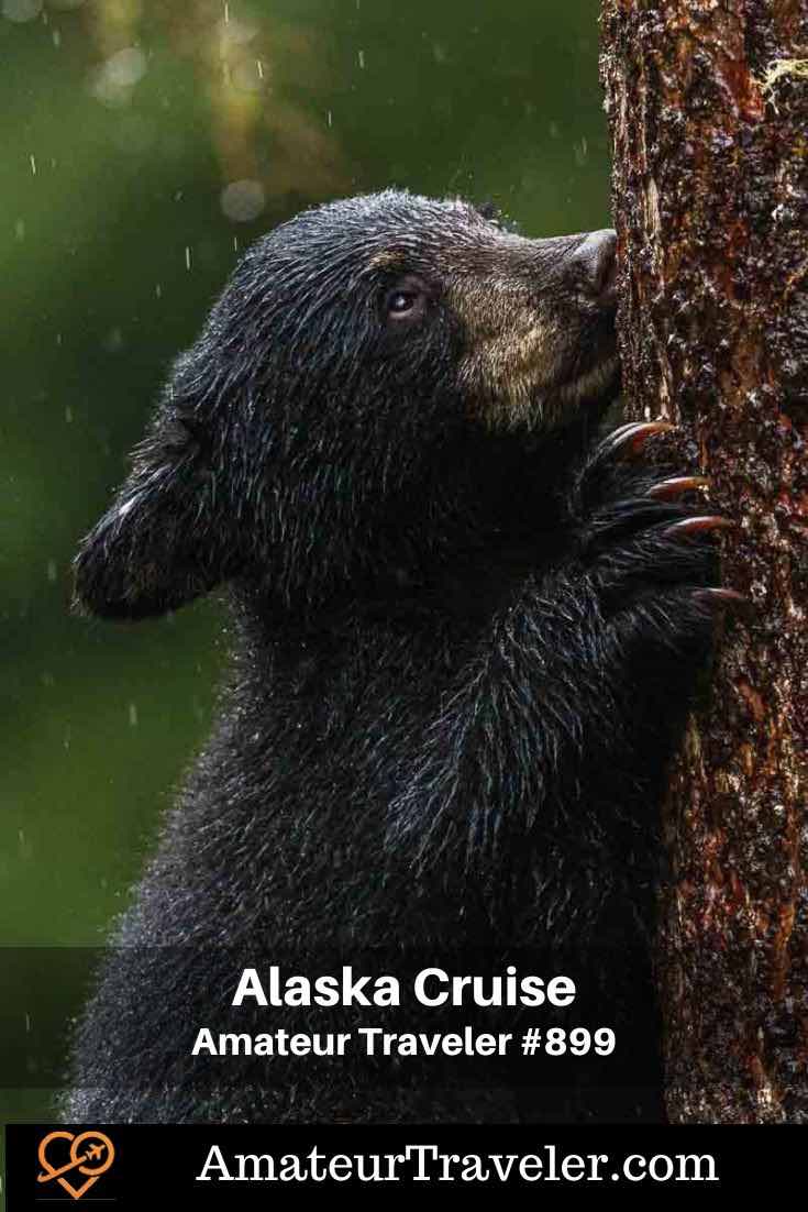 Hear about cruising the waters of Alaska and British Columbia as the Amateur Traveler talks to Susan Portnoy about her recent experience on a Hurtigruten expedition ship, which offers a unique blend of adventure, wildlife, and cultural exploration over an 18-day journey. This cruise is perfect for those seeking an intrepid, nature-focused adventure, visiting uninhabited islands and remote locations rarely seen by others, making it an unforgettable experience for wildlife enthusiasts and those looking to connect deeply with nature. #cruise #alaska #insidepassage #bears #travel #vacation #trip #holiday
