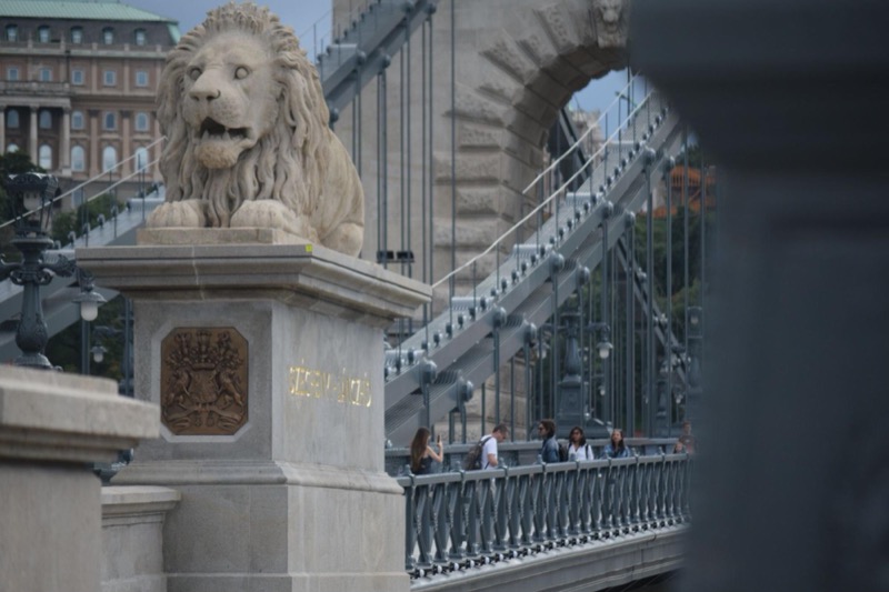 Chain Bridge Lion