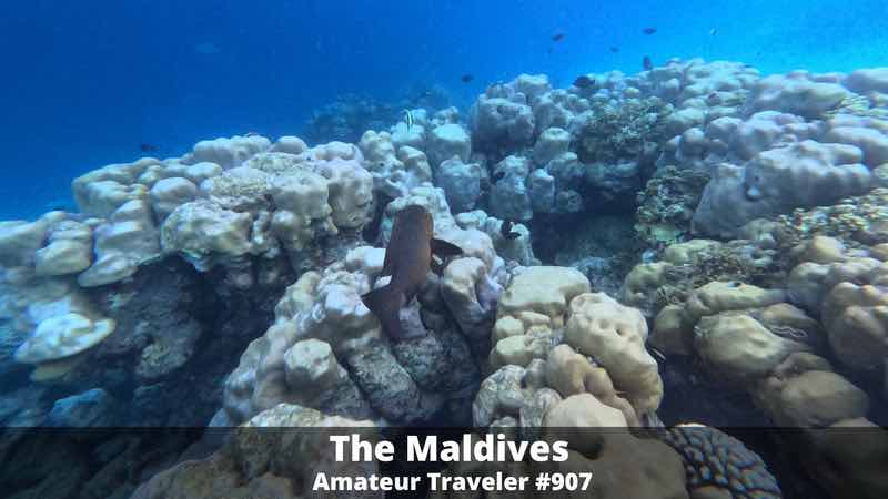 Travel to the Maldives (Podcast)