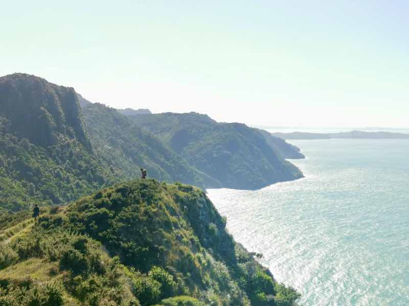 The Omanawanui Track