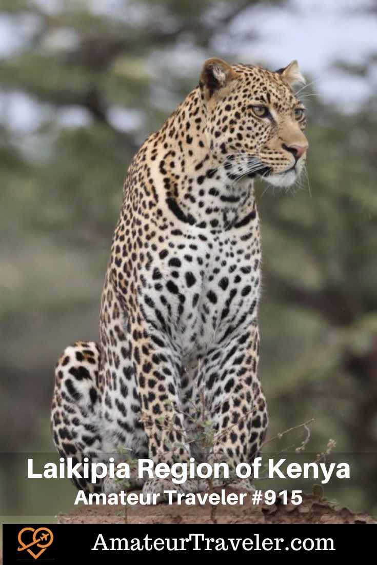 Travel to the Laikipia Region of Kenya (Podcast) - Laikipia, Kenya: its unique conservation efforts, diverse wildlife, cultural experiences, and less crowded safari opportunities #kenya #africa #safari #podcast