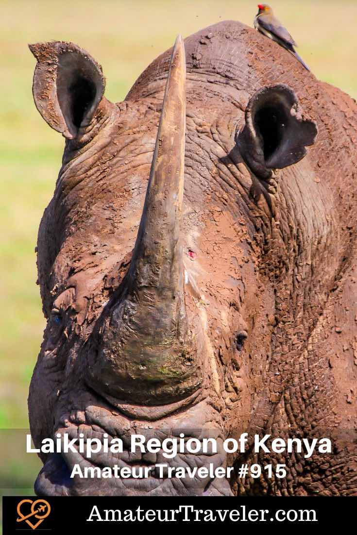 Travel to the Laikipia Region of Kenya (Podcast) - Laikipia, Kenya: its unique conservation efforts, diverse wildlife, cultural experiences, and less crowded safari opportunities #kenya #africa #safari #podcast